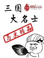 《三国大名士》小说封面