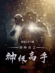 《特种兵之神级高手》小说封面