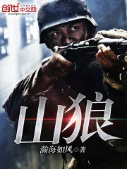 《山狼》小说封面
