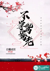 《不学鸳鸯老》小说封面