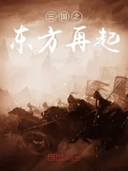 《三国之东方再起》小说封面