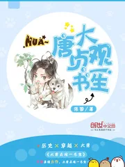 《大唐贞观一书生》小说封面