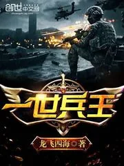 《一世兵王》小说封面