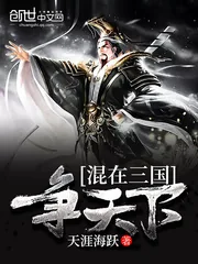 《混在三国争天下》小说封面