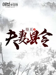 《夫妻县令》小说封面