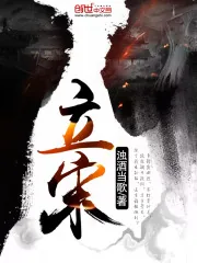 《立宋》小说封面