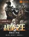 《无限世界之战争之王》小说封面