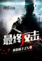 《最终反击》小说封面
