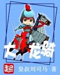 《大汉龙骑》小说封面