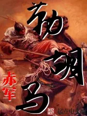 《勒胡马》小说封面