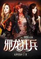 《邪龙狂兵》小说封面