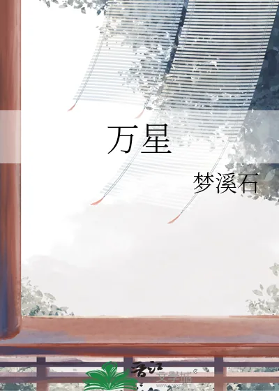 《万星》小说封面