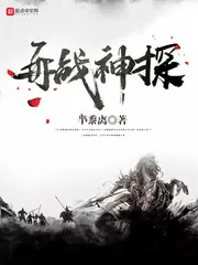 《再战神探》小说封面