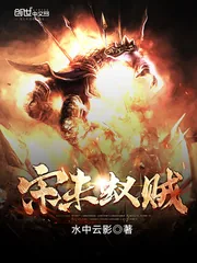 《宋未蚁贼》小说封面