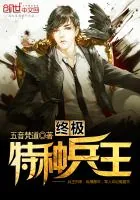 《终极特种兵王》小说封面