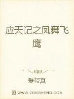 《应天记之凤舞飞鹰》小说封面