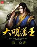 《大明藩王》小说封面