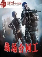 《战场合同工》小说封面