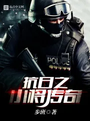 《抗日之小将传奇》小说封面
