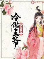 《冷傲王爷的痞王妃》小说封面