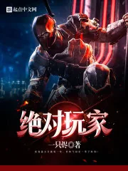 《绝对玩家》小说封面