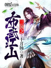 《三国之布武江山》小说封面