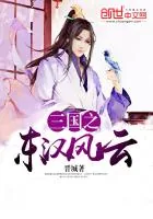 《三国之东汉风云》小说封面