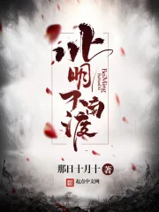 《北明不南渡》小说封面