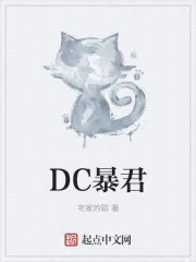 《DC暴君》小说封面