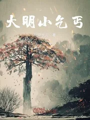 《大明小乞丐》小说封面