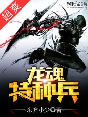 《龙魂特种兵》小说封面