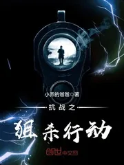 《抗战之狙杀行动》小说封面