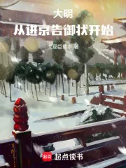 《大明：从进京告御状开始！》小说封面