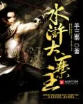 《水浒大寨主》小说封面