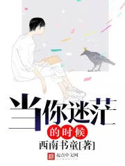 《当你迷茫的时候》小说封面
