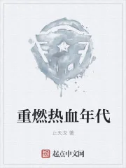 《重燃热血年代》小说封面