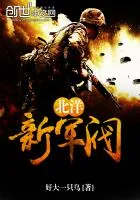 《北洋新军阀》小说封面