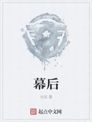 《幕后》小说封面