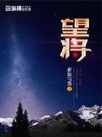 《望将》小说封面