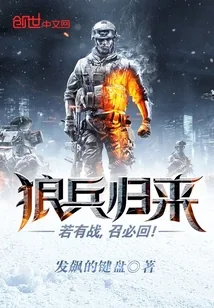 《狼兵归来》小说封面