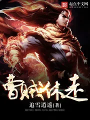 《曹贼休走》小说封面