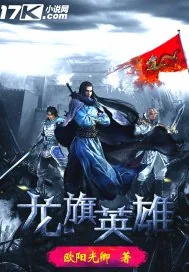 《龙旗英雄》小说封面