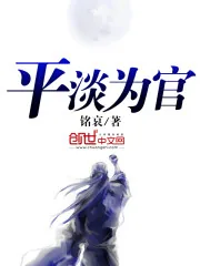 《平淡为官》小说封面
