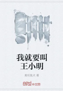 《我就要叫王小明》小说封面
