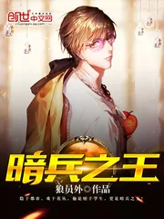 《暗兵之王》小说封面