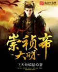 《大明崇祯帝》小说封面