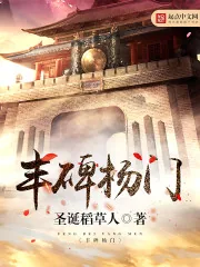 《丰碑杨门》小说封面