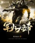 《军火大皇帝》小说封面
