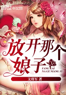 《放开那个娘子》小说封面