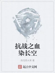 《抗战之血染长空》小说封面